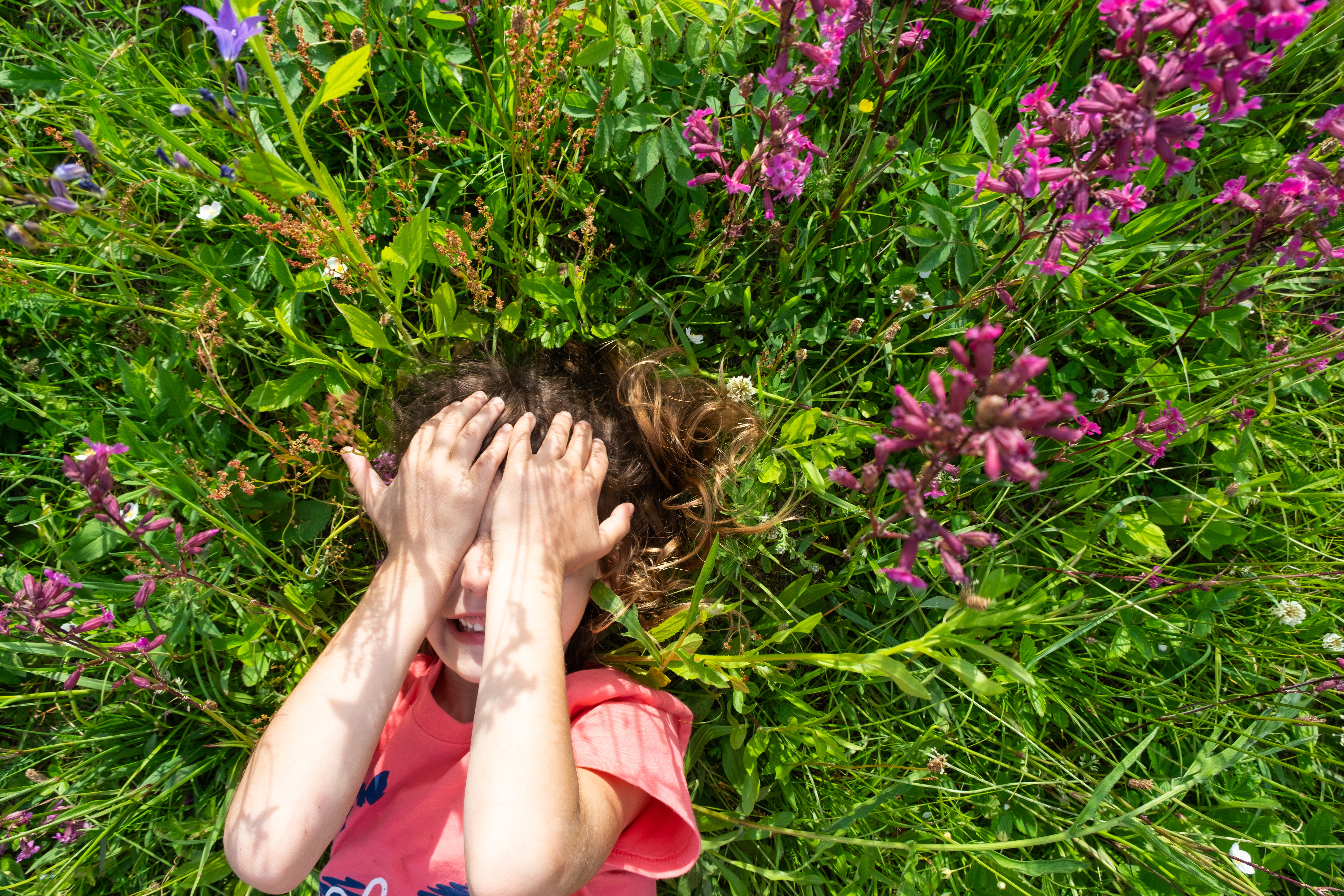 Managing Allergies in the Summertime